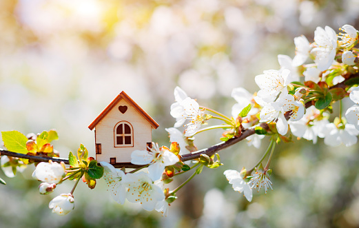 Miniature house on flowering branch close-up copy space. Wooden house flowers as postcard for holiday. Beginning of spring.