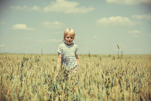 a little sweet girl lying on the grass. little girl and daisies. wild flowers