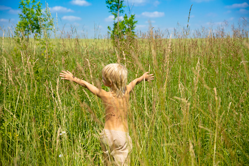 Happy child exploring green wheat field