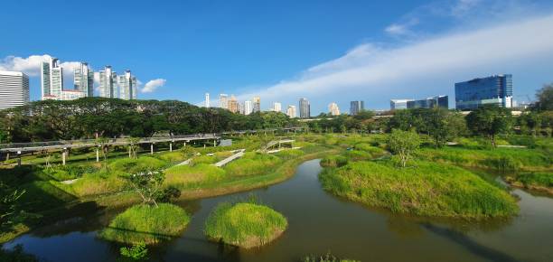 istock Newly opened Benchakitti Forest Park in Bangkok, Thailand 1406108636