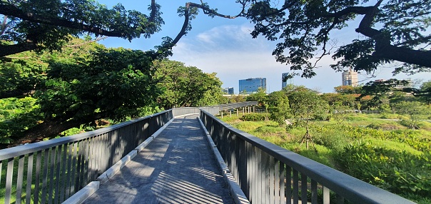 View of the footpath in the newly opened Benchakitti Forest Park in Bangkok, 2022