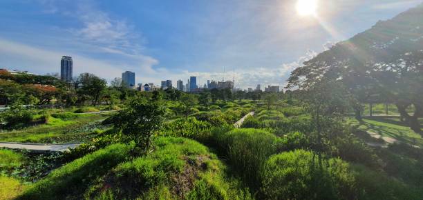 istock Newly opened Benchakitti Forest Park in Bangkok, Thailand 1406108663