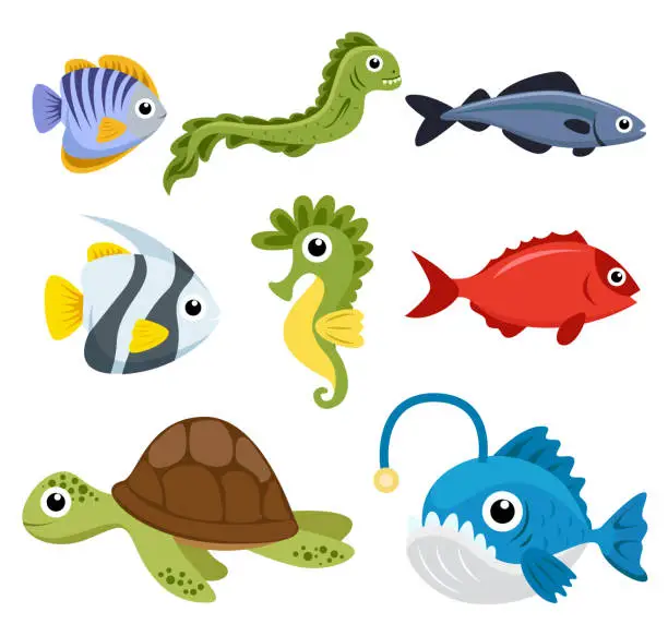 Vector illustration of Set of sea creatures on white background vector