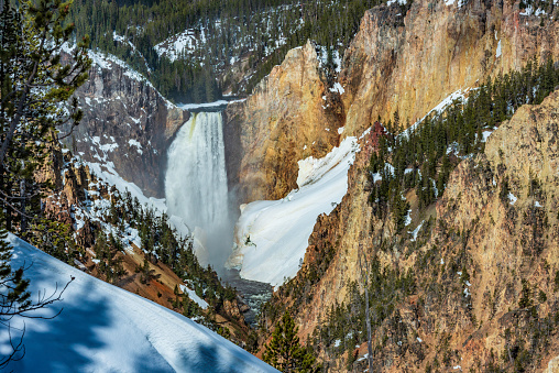 Lower Falls of the Yellowstone River from Artist Point. Grand Canyon of the Yellowstone River. Yellowstone National Park, Wyoming.