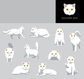 katze-selkirk-rex-cartoon-vektor-illustr
