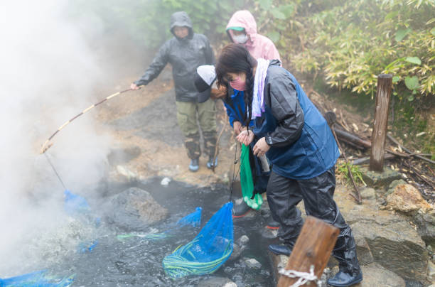 istock Boiling foraged wild mountain vegetables in a hot spring after foraging 1406123948