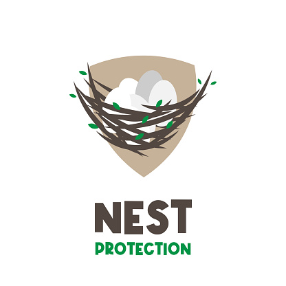 An illustration of a bird's nest and a shield that is the same as a house protecting the eggs inside