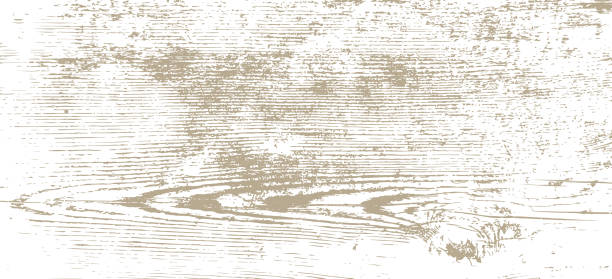 Grunge texture of an old wooden board One-color vector background with the texture of an old wooden board. knotted wood wood dirty weathered stock illustrations