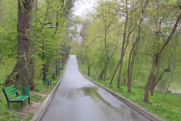 istock Beautiful trees near an asphalt path after a rain in spring 1406129966