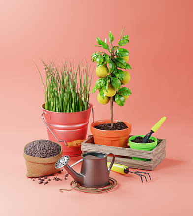3D rendering of garden tools, pear tree and flower pots, iron bucket with grass and watering can.