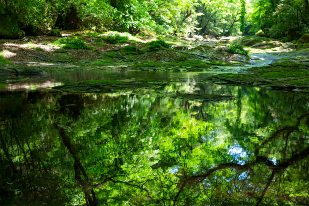 初夏の菊池渓谷、九州の熊本、日本 - 山峡 ストックフォトと画像