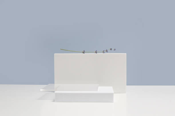 istock Abstract minimal modern scene. Modern set from various geometric shapes. Stylish background for product presentation. 1406134885