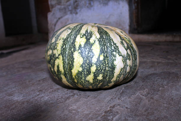 a big pumpkin isolated on stone background