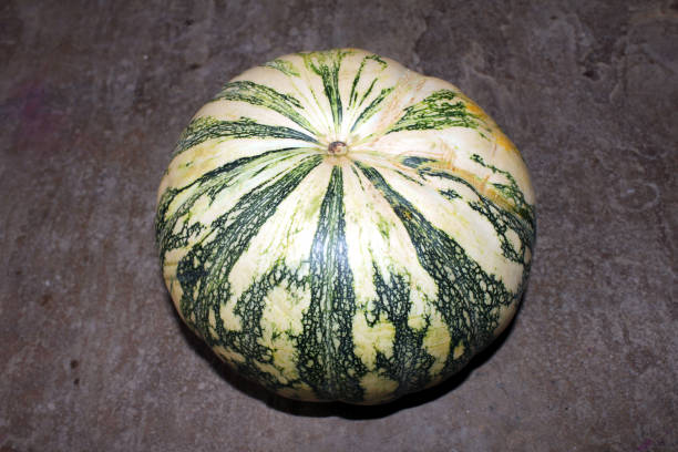 istock a big pumpkin isolated on stone background 1406136802