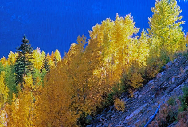 istock Autumn in Colorado 1406138015