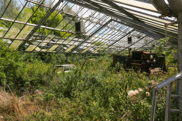 istock abandoned and overgrown greenhouse with missing windows and with wrecked car and old tractor 1406139028