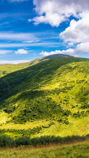 istock natural summer landscape with mountain valley 1406139218
