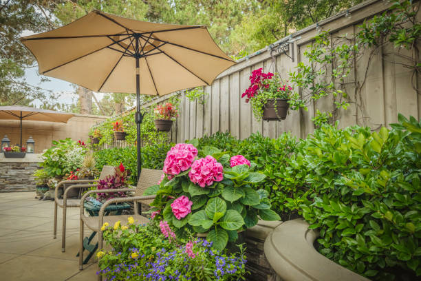 Backyard garden area Beautiful backyard garden in suburban house. pink patio umbrella stock pictures, royalty-free photos & images