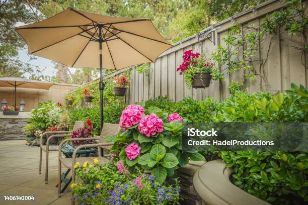 Backyard Garden Area Stock Photo - Download Image Now - Back Yard, Yard - Grounds, Garden