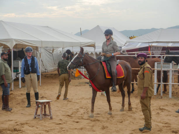 プシュカル・ラクダ・フェアのインド最高峰の牛祭りに馬が集まって取引されました。 - pet fair ストックフォトと画像