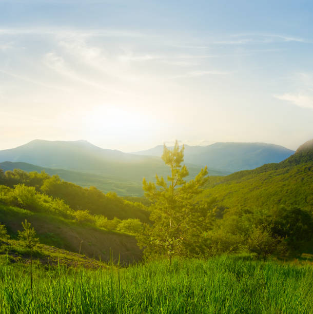 istock green mountain valley at the sunset 1406142233