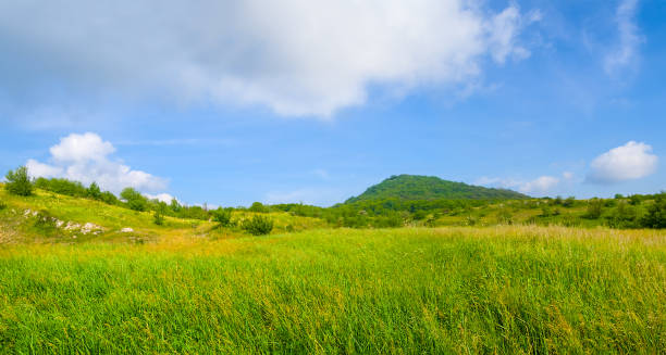istock mountain valley covered by green grass 1406142480