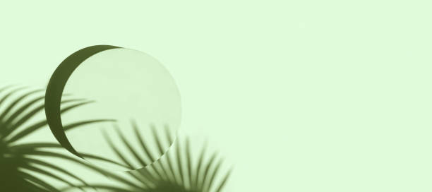 istock Podium for cosmetic product presentation. Abstract minimal geometrical Cylinder. Stone sphere one form, palm leaf shadow. Scene to show. Showcase, display case. Trendy sunlight. Flat lay, Top View. 3D 1406143736