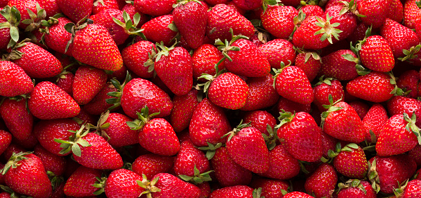 Red ripe organic strawberries. Close-up shot, top view. Non-industrial village product. Fruit background