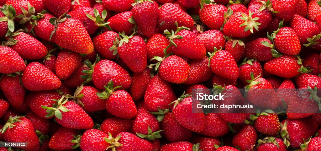 organic strawberries Red ripe organic strawberries. Close-up shot, top view. Non-industrial village product. Fruit background Strawberry Stock Photo