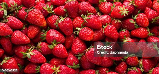 Organic Strawberries Stock Photo - Download Image Now - Strawberry, Farm, Agriculture