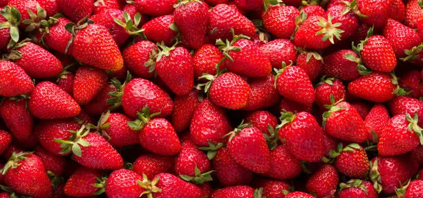 Photo of organic strawberries