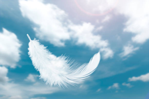 istock Abstract a Single White Fluffly Bird Feathers Floating in The Sky. Flying Swan Feather 1406146085