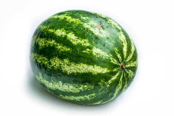 Fresh green watermelon on white isolated background whole full frame. Concept fruits backgrounds and style for design, textures and wallpaper. Copy space