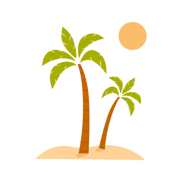 Colorful exotic palm tree with sun. Coconut tree with green leaves and trunk isolated on white background.Vector illustration vector art illustration