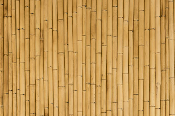 istock Bamboo background. Wooden texture bamboo plant on the decorative wall 1406148443