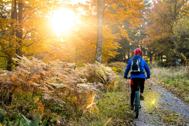 istock Biker riding bicycle on trail in woods 1406148948