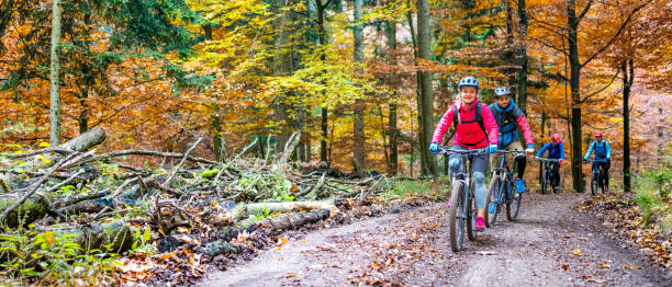 Riding horse in autumn forest path between fallen leaves
