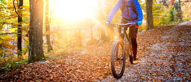 Cropped shot of biker riding on trail in forest, view against setting sun. Adventure trip in colourful autumn forest, active lifestyle concept.