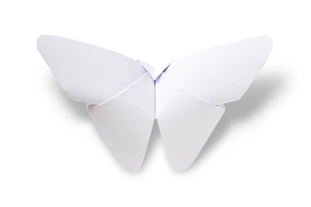 istock Paper butterfly origami isolated on a white background 1406149012