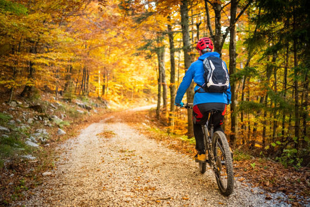 istock Biker riding on dirt road in colourful countryside 1406149022