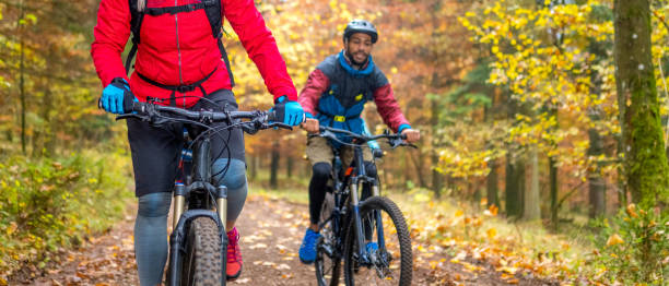 istock Cyclists riding on path in deciduous wood 1406149564