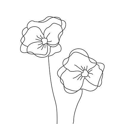 Poppy flowers. Hand drawn vector illustration. Black and white.
