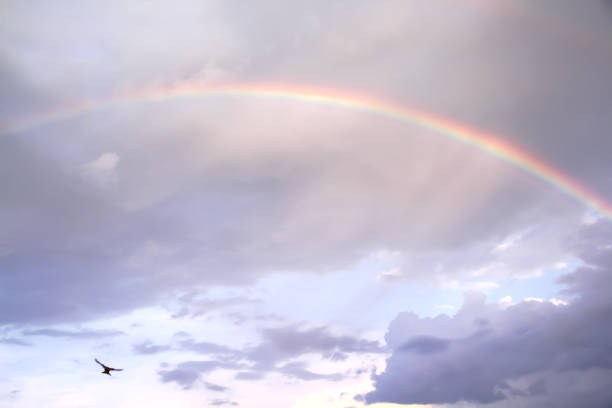 istock Rainbow  cloud on light blue sky background after rain in the evening 1406150865
