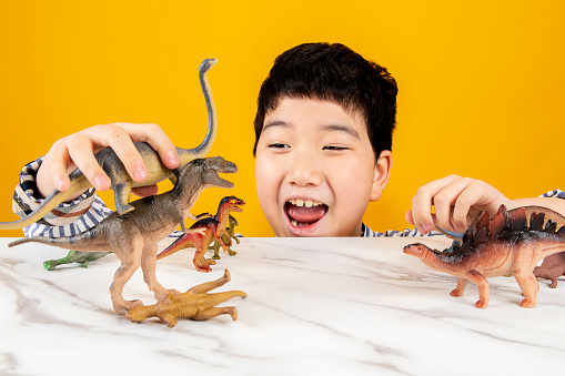 A boy is having fun with a dinosaur-shaped toy