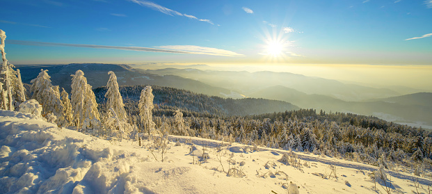 Stunning panorama of snowy landscape in winter in Black Forest - Snow view winter wonderland snowscape sunset in the evening background banner