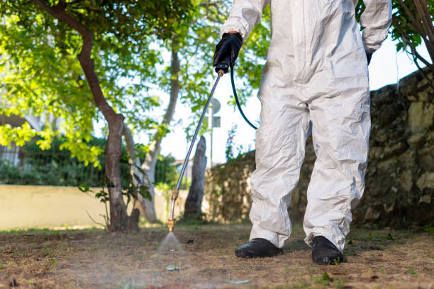 istock Man spraying insecticide on grass in lawn. 1406151151