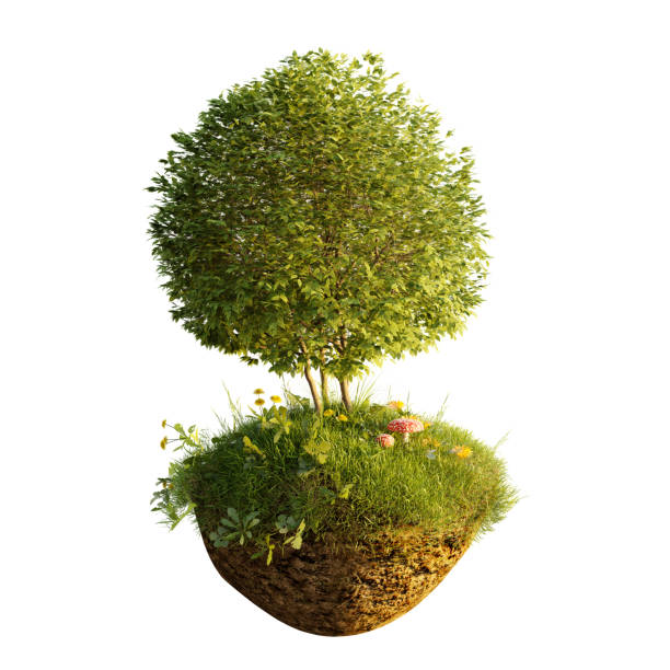 istock Conservation environmental and protection of native nature on white background. Romantic pure natural landscape with meadow and toadstool. 3D render concept as healthy lifestyle. 1406155208