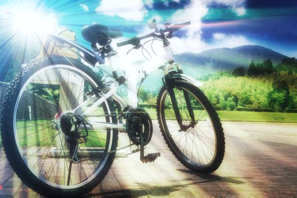 A bicycle icon displayed against a blurred natural background featuring various organic elements