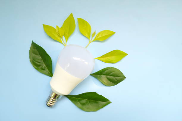 istock Save electricity, lights off, idea and innovation environmental conservation concept. Light bulb with fresh green leaves flat lay. 1406160507