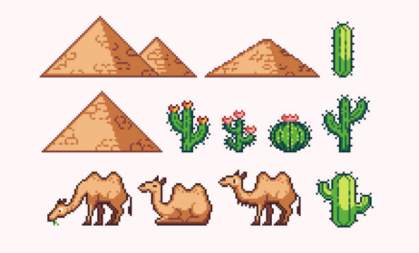 egipskie piramidy, wielbłąd, kaktusy pixel art zestaw. kolekcja zwierząt i drzew sahary. 8-bitowy duszek. - camel india animal desert stock illustrations